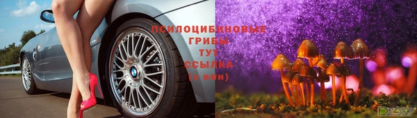 эйфоретик Куйбышев