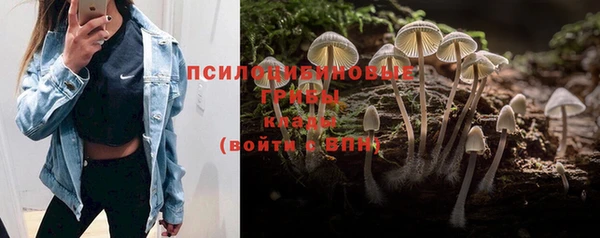 эйфоретик Куйбышев