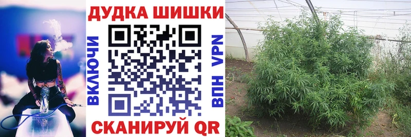 Купить закладки Вязники МАРИХУАНА семена